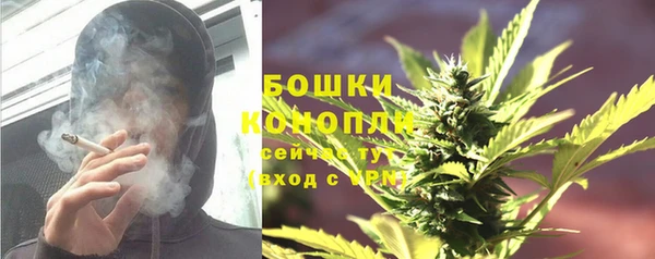 кокс Белокуриха