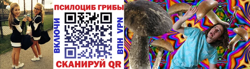 магазин    Великие Луки  Псилоцибиновые грибы прущие грибы 